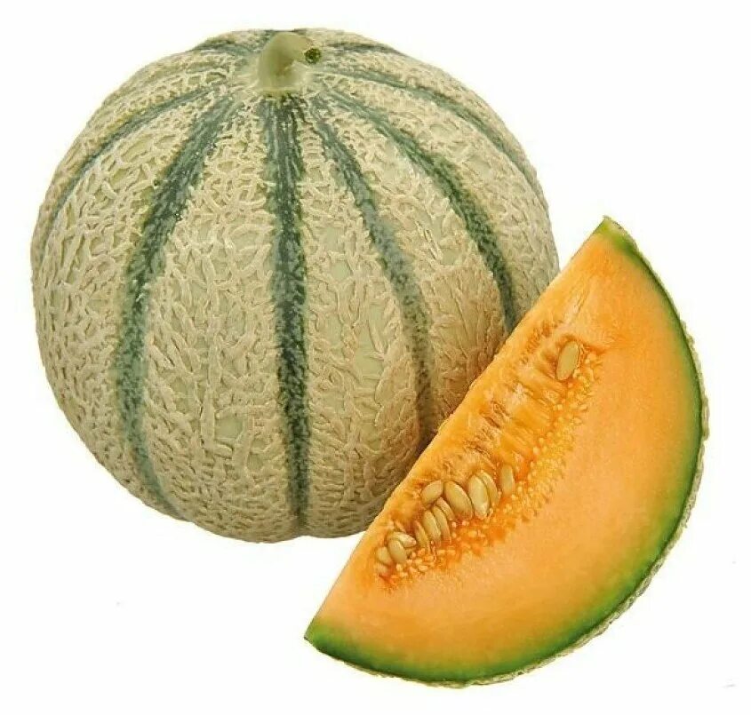 Дыня `лина` f1. Дыня канталуп. Мускатная дыня. Хандалак дыня. Дыня малага.