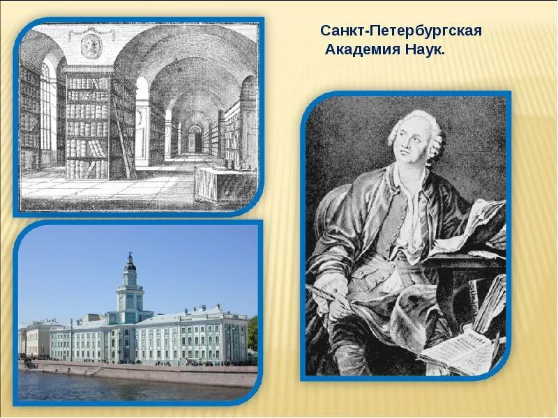 Академия наук в Петербурге при Ломоносове. М в ломоносов учеба