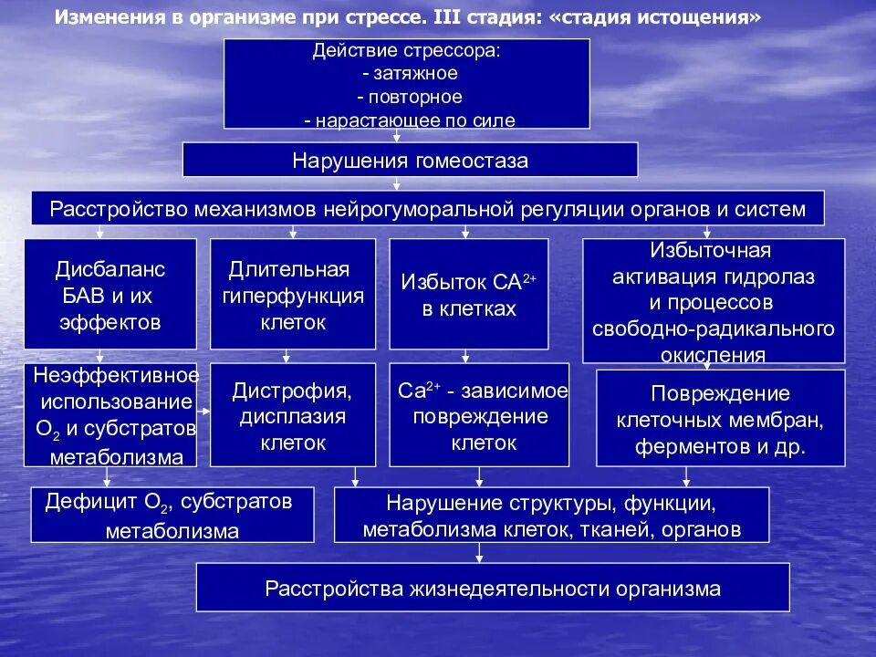 Патогенез стрессовой реакции схема. Изменения в организме при стрессе. Стадии стресса патофизиология. Структурно-функциональные изменения стресса. Механизмы развития стресса