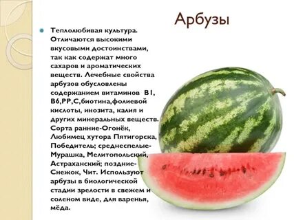 Какие вещества содержатся в арбузе впр