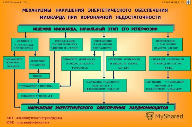 Клинические формы коронарной недостаточности:. Коронарная недостаточность механизм развития. Виды коронарной недостаточности. Коронарогенными причинами коронарной недостаточности являются:. Виды коронарной недостаточности.