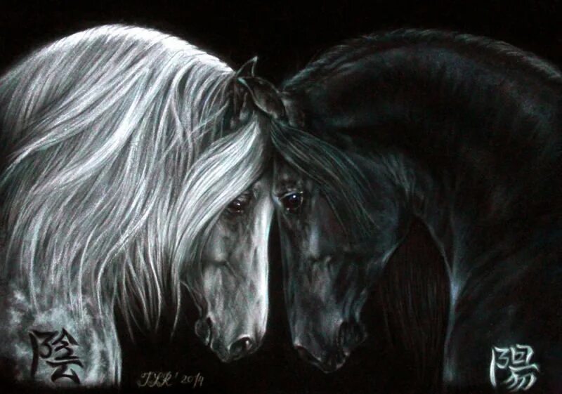 Круглые логотипы животных. Инь янь лошади. Художник анималист глухарев. Лошади водной стихии. Тату лошадь инь и янь.