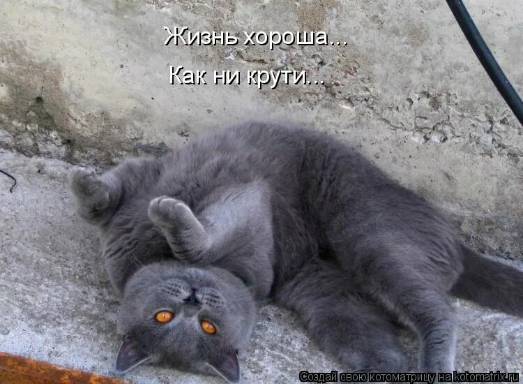 Жизнь прекрасна как ни крути картинки. Жизнь хороша как ни крути. Красивая как ни крути. Дизайнерские кружки крутящиеся. Хорошо как ни крути.