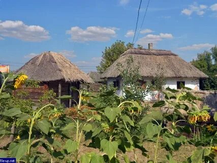 Село сорочинцы