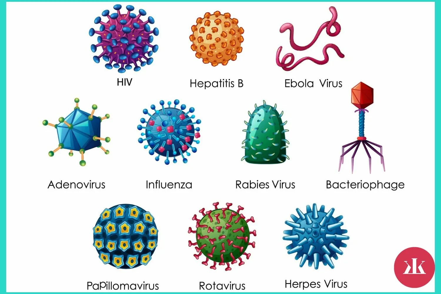 Local virus. Вирус. Разнообразие вирусов. Вирус цветной.