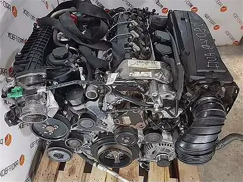 646 мотор мерседес спринтер. Ом646 двигатель. Ом 642. 646 мотор мерседес. Mercedes sprinter 646 мотор ремень.