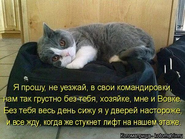 Уезжать требовать. Человек в окне поезда. Окно электрички. Мужчина уходит с чемоданом. Уезжать требовать.