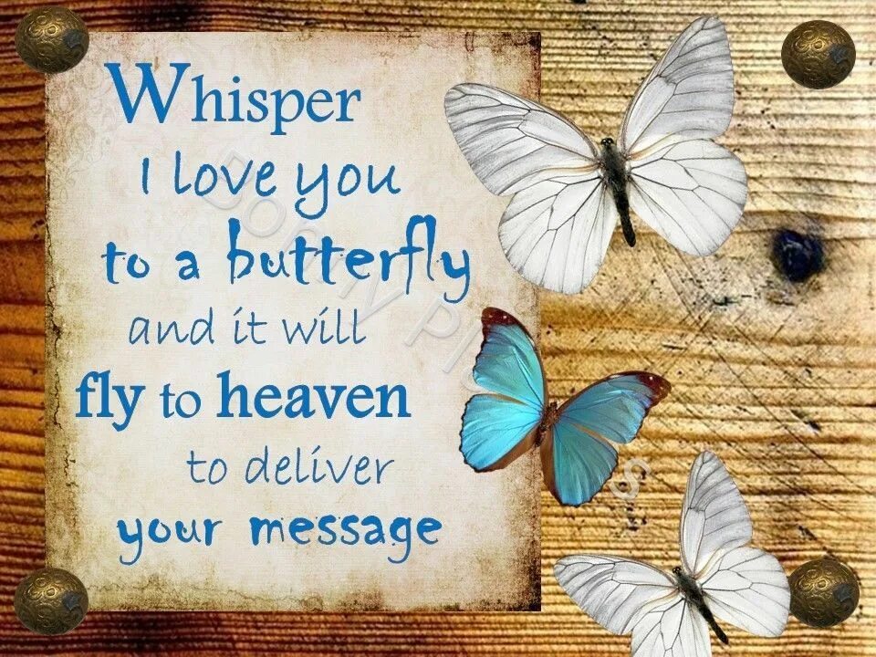 Whisper me a love song. Will it Fly книга. Английское стихотворение Fly Fly Fly the Butterfly.. Fly to Heaven. Fly Butterfly Rhyme.