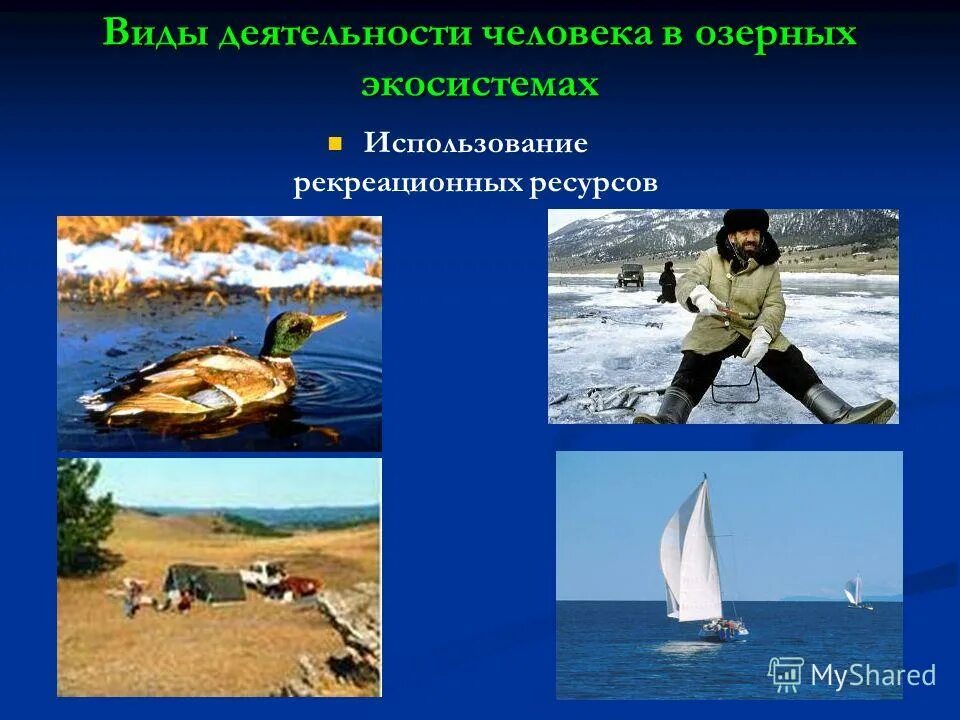 Использование озер человеком. Хозяйственное использование озер. Как человек использует озера. Экологические проблемы рекреационных ресурсов.