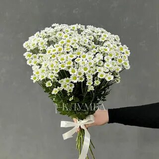 Букет из 9 ромашек