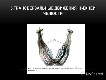 Движение нижней челюсти