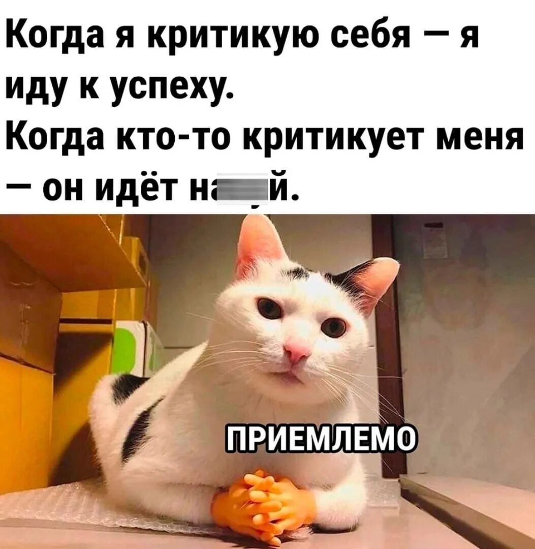 Критика основ