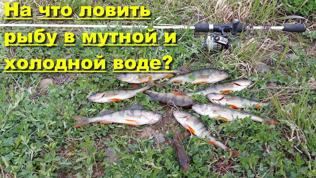 На что ловить в мутной воде Приманки TM SPRUT Страница 7