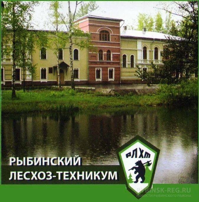 Рыбинский Лесной техникум. Лесотехнический колледж Рыбинск. Лесхоз техникум Тихменево. Тихменево Рыбинский район колледж.