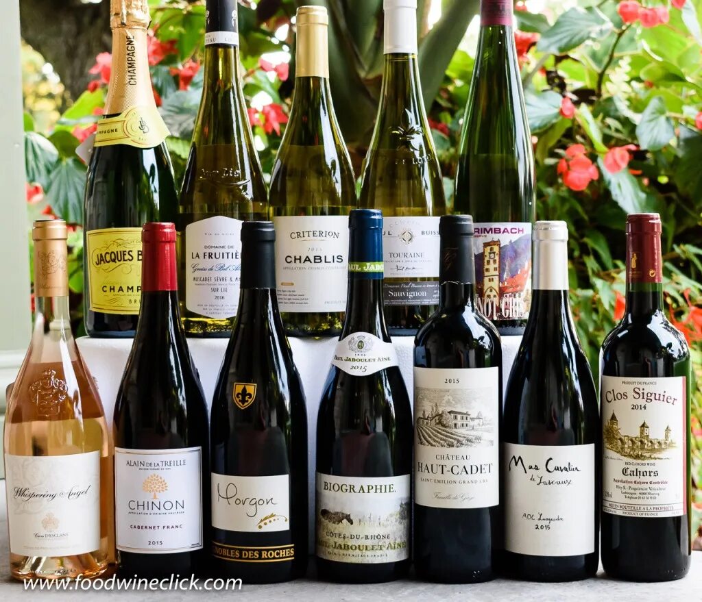 Французы вино. Французское вино. Французские вина. Французские сорта вина. Известное французское вино.