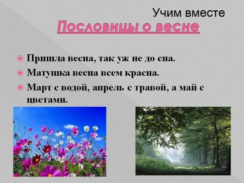 Пословицы о весне. Пословицы и поговорки о ве не. Пословицы и поговорки о весне. Пословицы и поговорки о ве. Поговорки о весне 2 класс