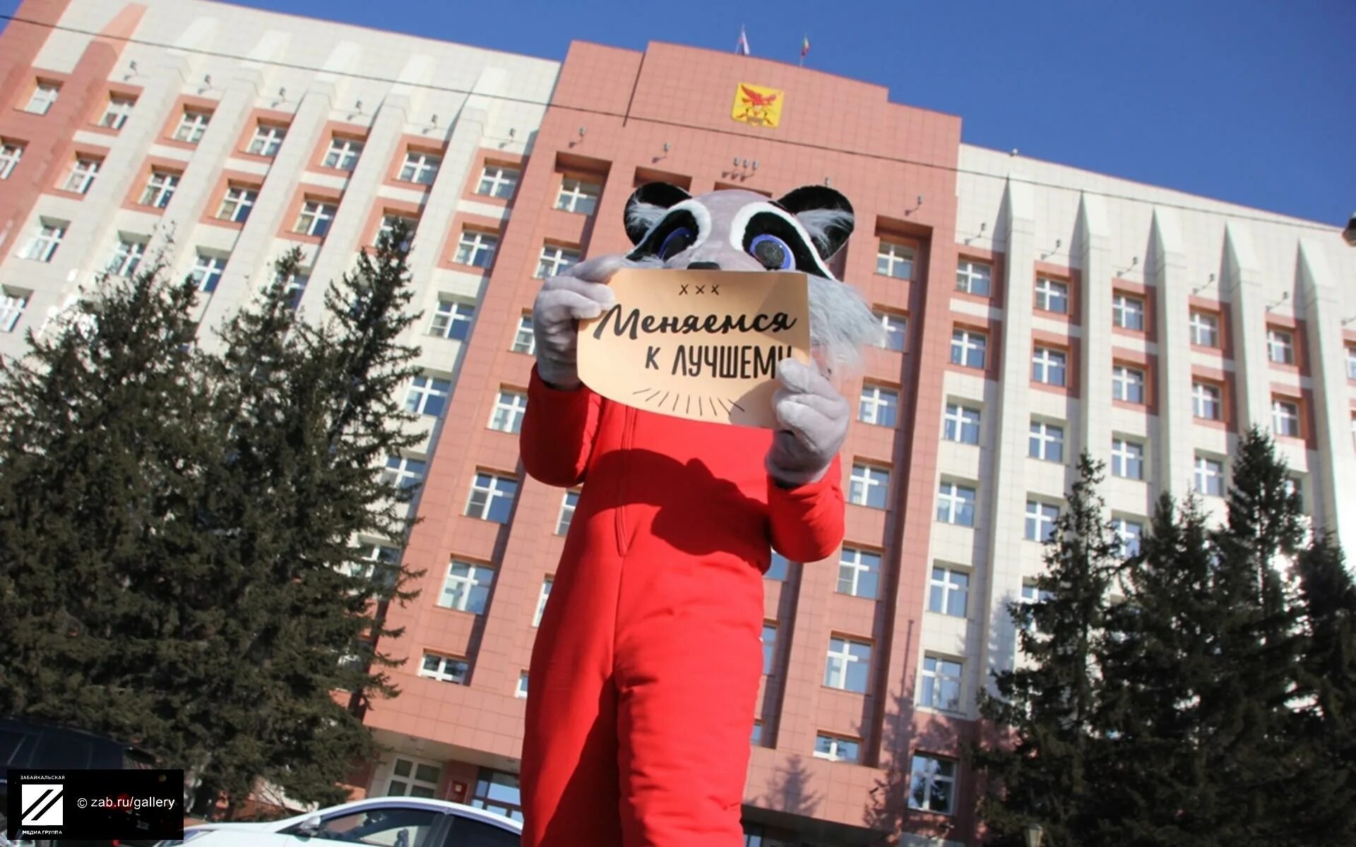 Забмедиа. Чита ру эмблема. Забмедиа чита. Забмедиа происшествия. Сайт забмедиа.