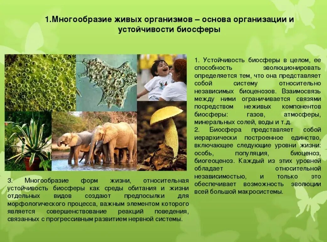 Разнообразие живых организмов 5 класс сообщение. Многообразие живыеорганизмов. многообразие живых организмов. разнообразие организмов. многообразие видов живых организмов.