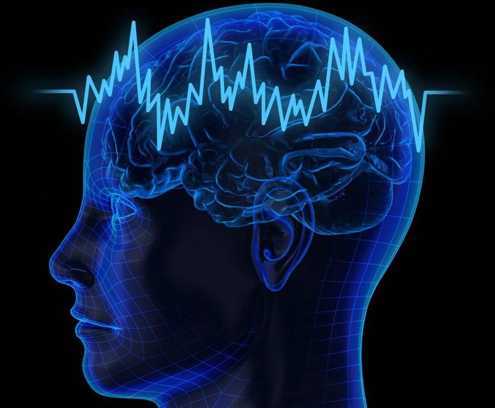 Мозг принимает сигналы. Возможности человеческого мозга. Электрические импульсы мозга. Память человека.
