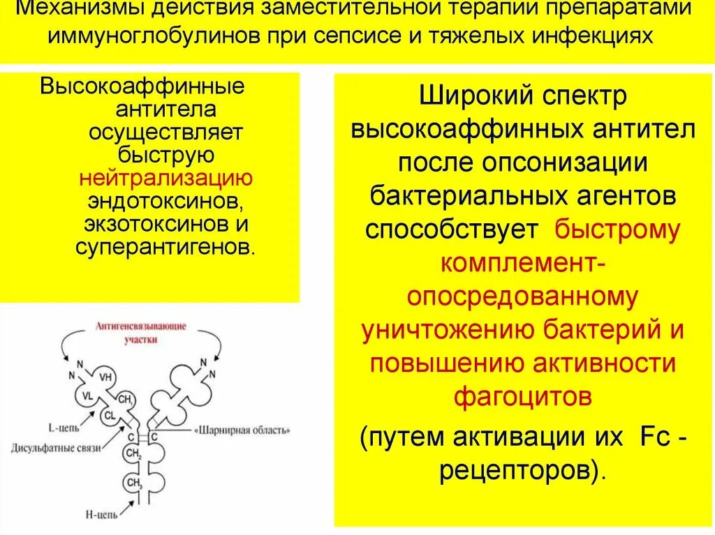 Препараты иммуноглобулинов применение. Препараты антител препараты иммуноглобулинов. Механизм действия иммуноглобулинов. Препараты иммуноглобулинов механизм действия. Заместительная терапия иммуноглобулинами препараты.