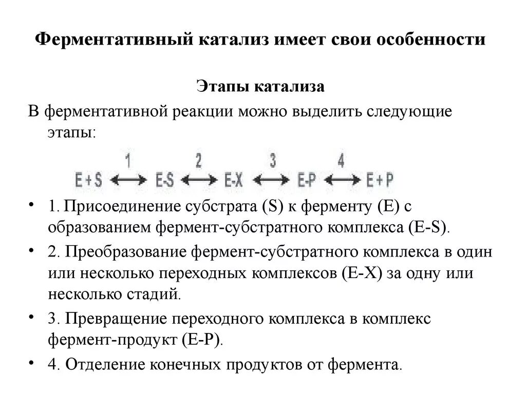 Катализ ферментов. Стадии ферментативного катализа. Этапы ферментативного катализа схема. Этапы ферментативной реакции формула. Механизм ферментативного катализа.