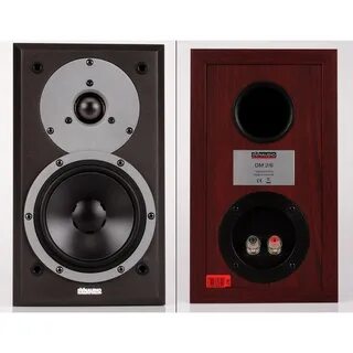 Dynaudio dm