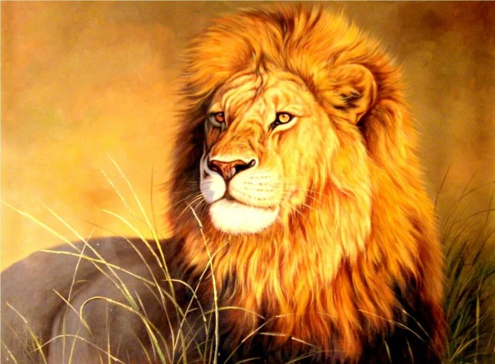 Лев красками. Картины нарисованные львы. Картина "лев". Картина лев и львица. Картина "лев".