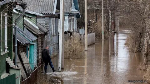 Погода в крестцах новгородской на 10