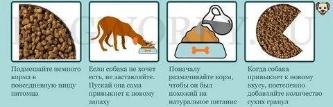 Собака съела немного