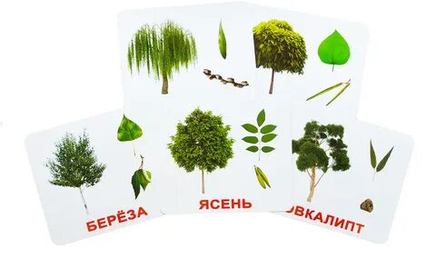 Карточки через