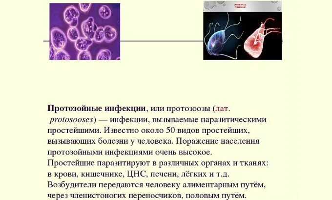 . Возбудители протозойных инфекционных заболеваний. Протозойные колиты общая характеристика. Протозойные кишечные инфекции. К возбудителям протозойных инфекций относятся.