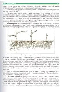 Растения с развитой корневой системой