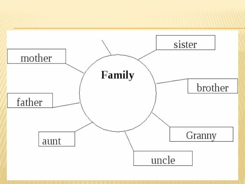 Кластер по английскому языку. Семья англ яз. Тема семья на английском. Схема семьи на английском. Тема family английский