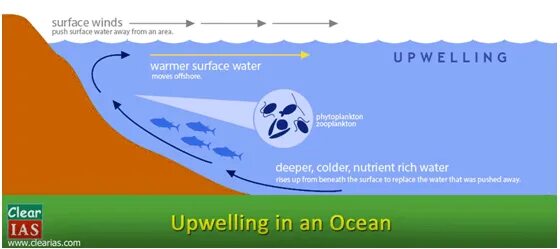 районы апвеллинга экосистема. перуанский апвеллинг. апвеллинг что это такое в черном море. зоны апвеллинга. апвеллинг что это такое в черном море.