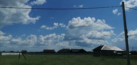 Алексеевское новосибирская область