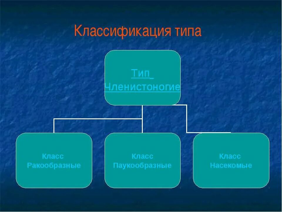 Классификация типа членистоногие. Классы членистоногих таблица. Членистоногие общая характеристика презентация. Сравнительная характеристика классов членистоногих 8 класс биология.