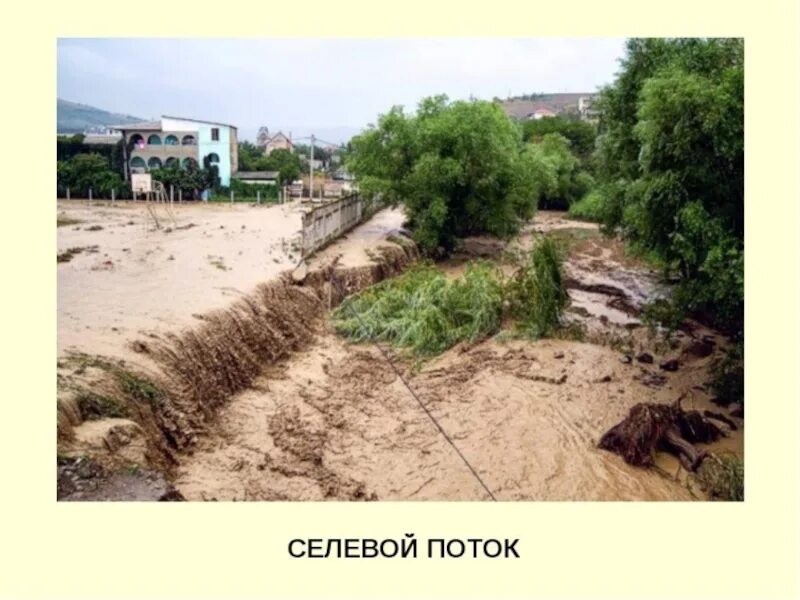 Сели под