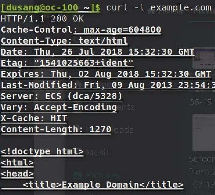 Curl output. Curl example. Curl get request example.
