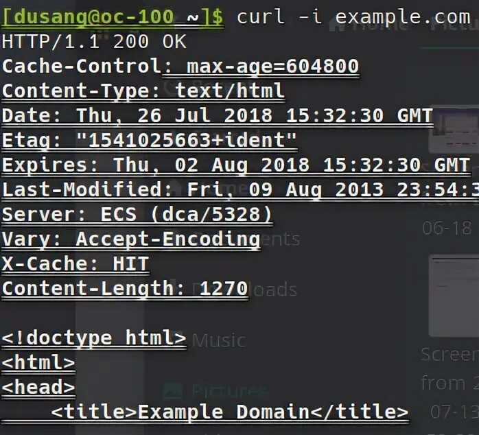 Curl примеры. Curl example. Curl get request example.