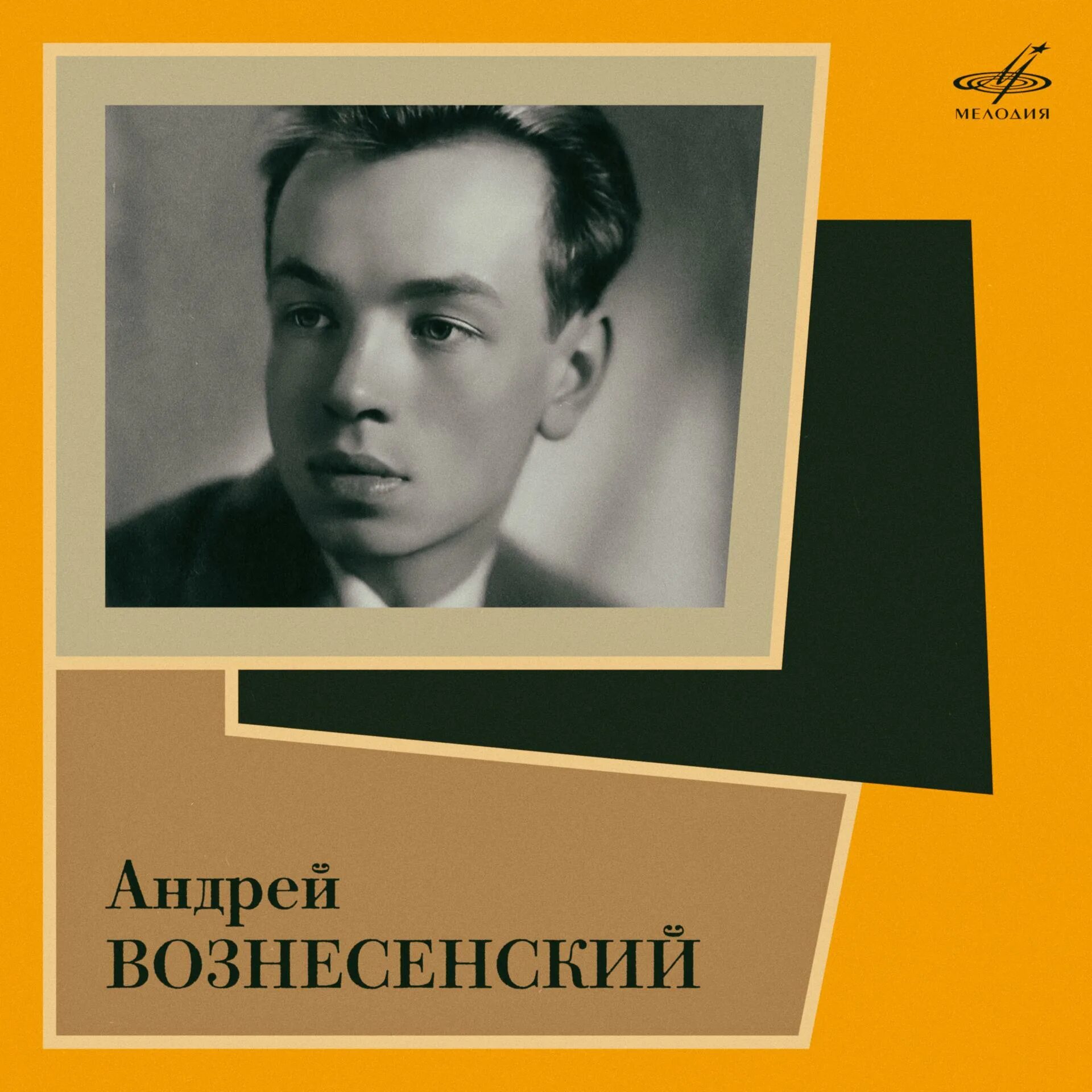 Слушать вознесенский книги. Стихи Андрея Вознесенского. Сборник мозаика Вознесенский. Стихи Андрея Вознесенского лучшие.