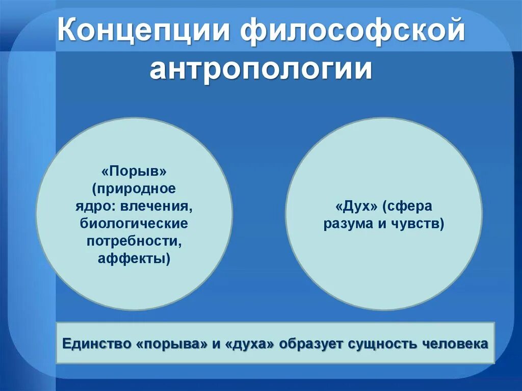 Концепция философской антропологии. Концепции человека в философской антропологии. Антропологические концепции в философии. Философские концепции человека философия. Проблема сущности общества