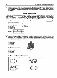 Тренировочный вариант огэ биология 2023 год