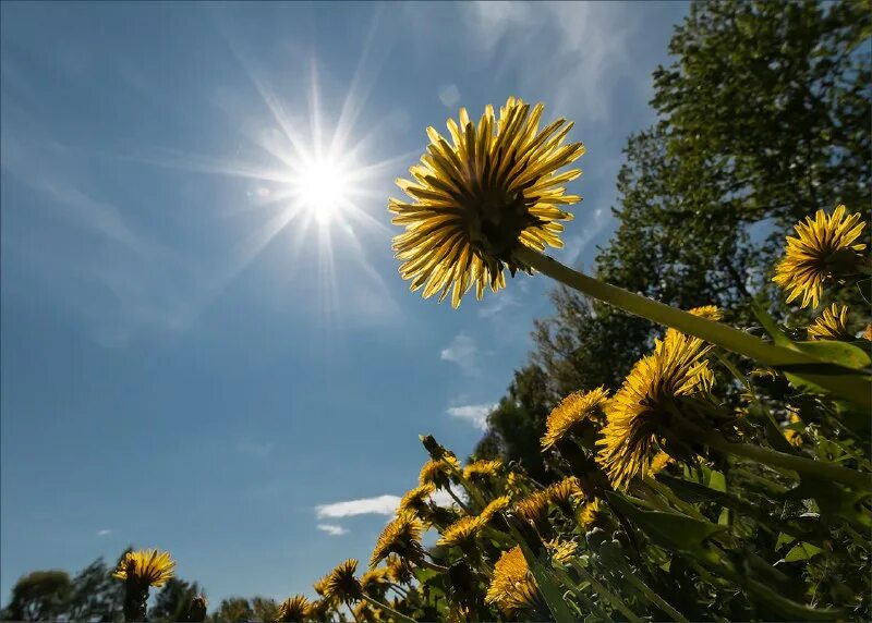 солнце вблизи. солнечного мая. красное солнце на белом небе. вспышка на солнце пвз. телескоп gregor снимки солнца.