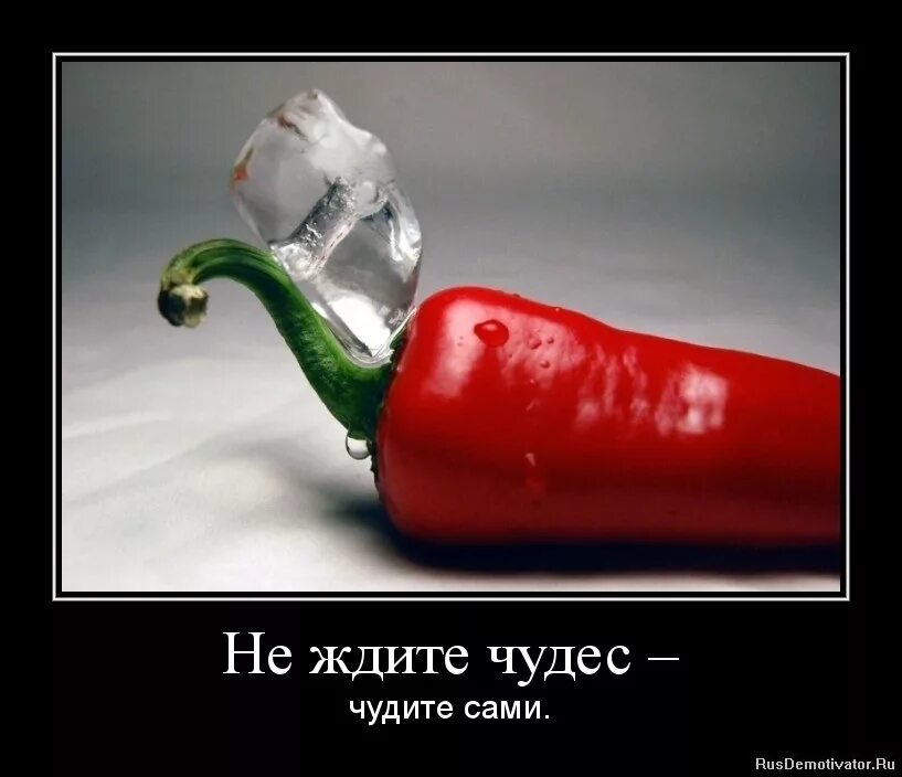 Можно ждать чуда. Не ждите чуда чудите сами. не жди чудес чудите сами. демотиватор не ждите чуда. не ждите чуда чудите сами картинки.