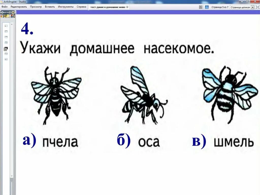 Тест для детей 2 класс. Тест про животных для детей. Тест про животных с ответами. Тест про животных с ответами для детей. Презентация тесты на животных.