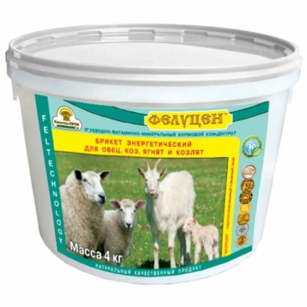 чем прокалывать ягнят. беломышечная болезнь ягнят. чем прокалывать ягнят. чем прокалывать ягнят. чем прокалывать ягнят.