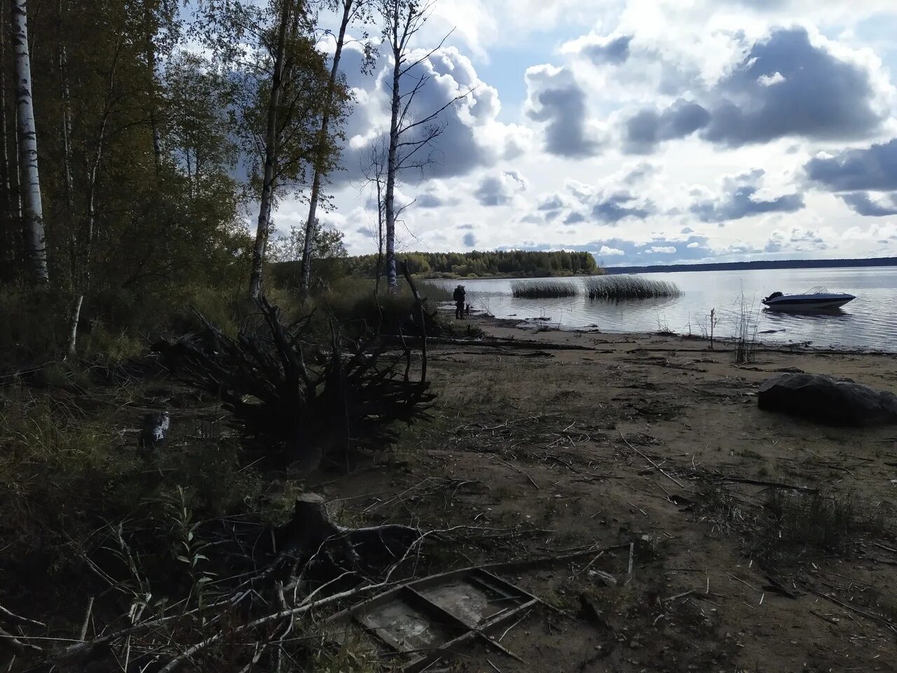 Рыбинские острова. Юршинский остров Рыбинское водохранилище. Остров Шумаровский Рыбинское водохранилище. Остров Раменье Рыбинское водохранилище. Рыбинское водохранилище Каменники.