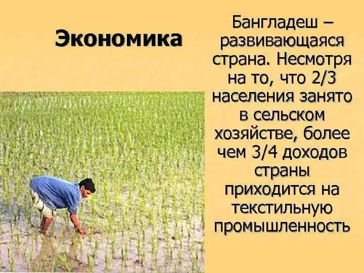 Бангладеш особенность. Бангладеш особенность. Рангпур (город в бангладеш). Дакка бангладеш. Бангладеш столица дакка.