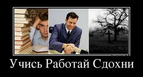 Люди которые не учатся и не работают