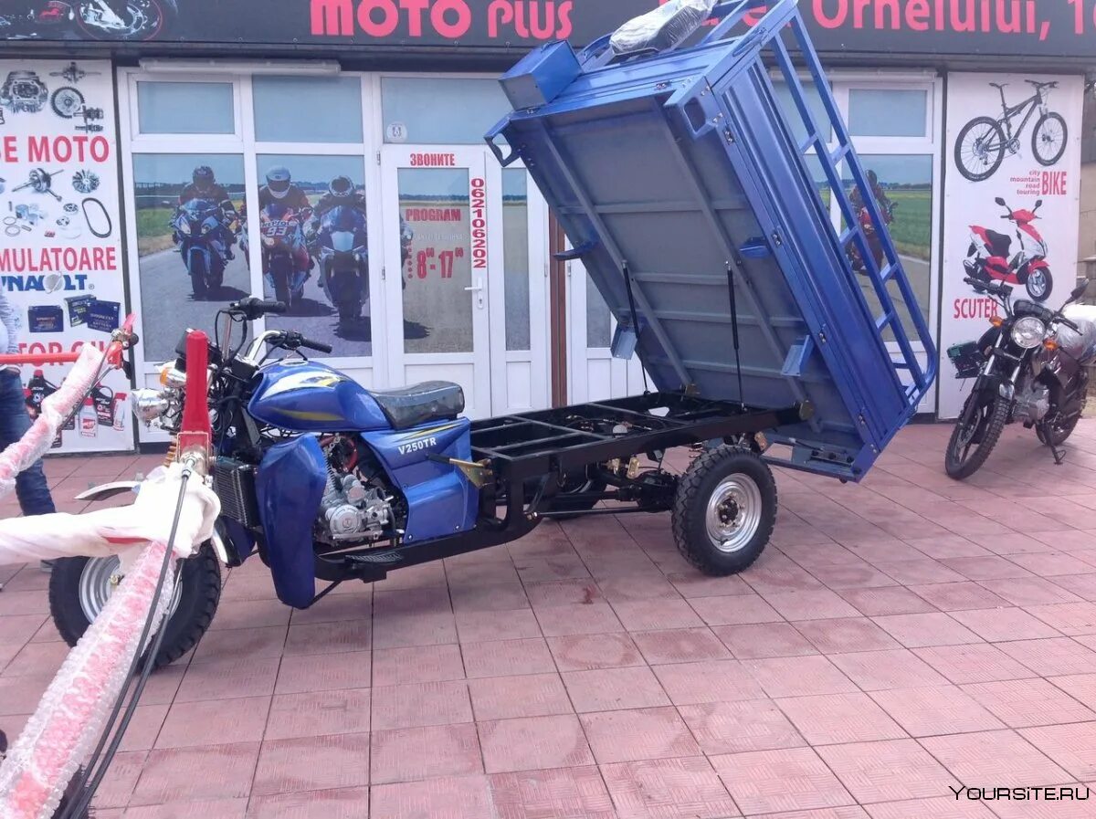 Скутер нархлари 2021. Электросамокат 1000w city coco. Citycoco mini pro c3. Электромопед jasper. Электроскутер мопед elbike dacha.